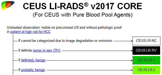 Translations of LI-RADS v2017 US and CEUS Core documents - Dr. Gish